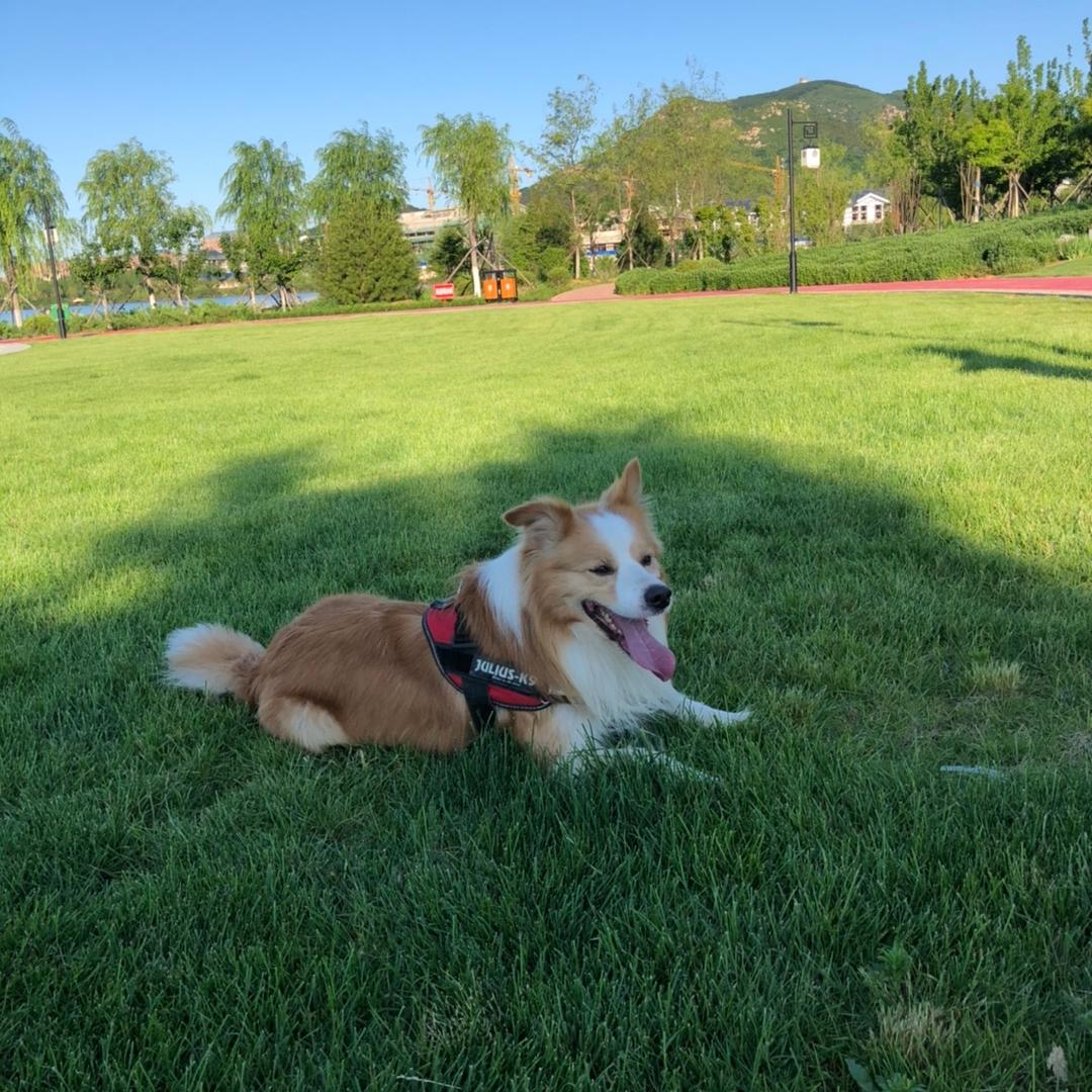 喵🐱眼👀看世界