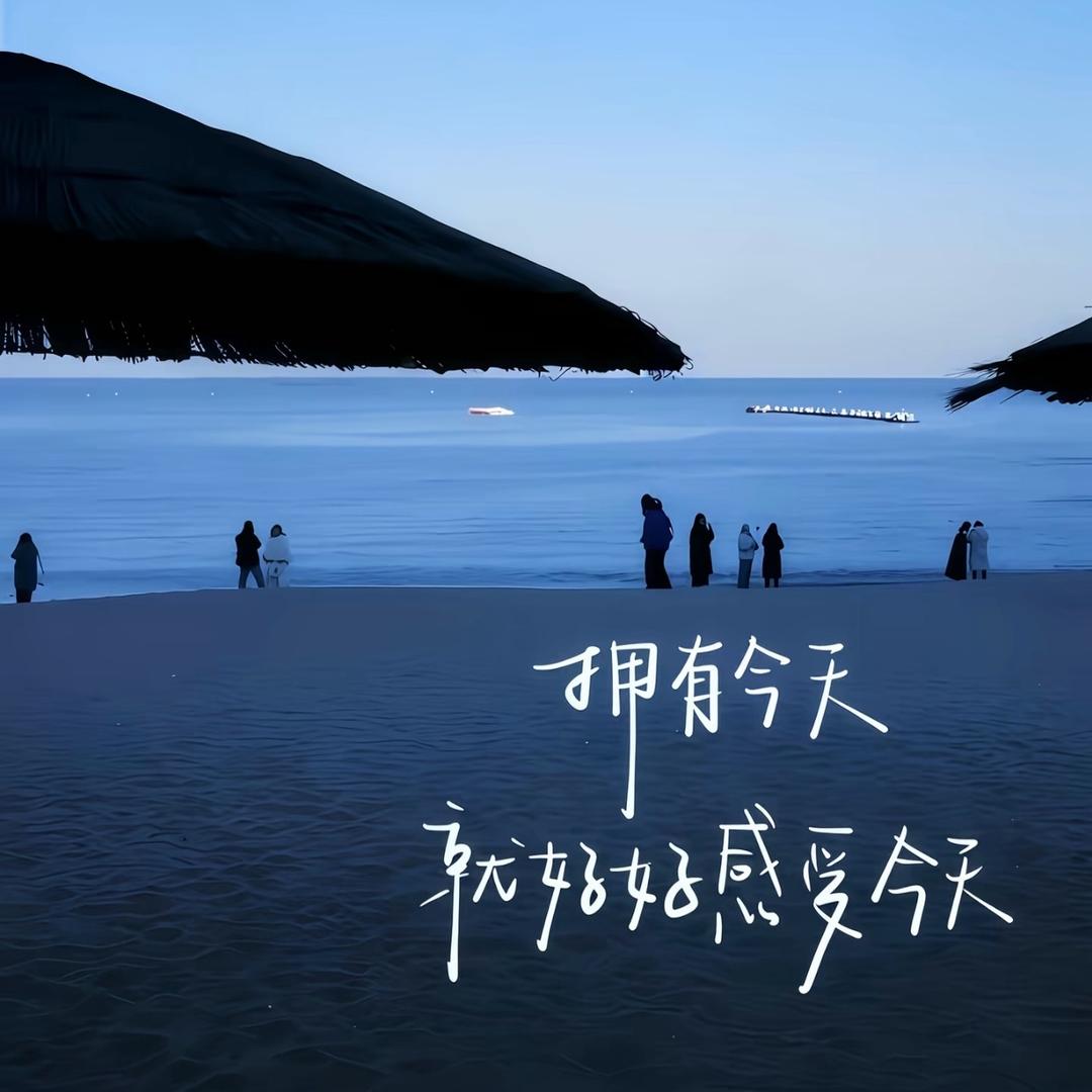 会飞的鱼