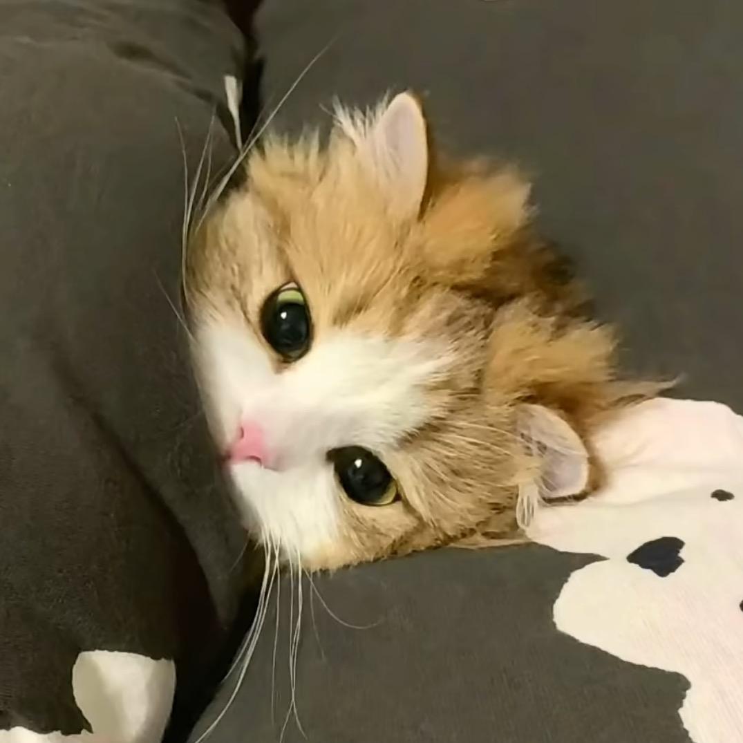 水溶c