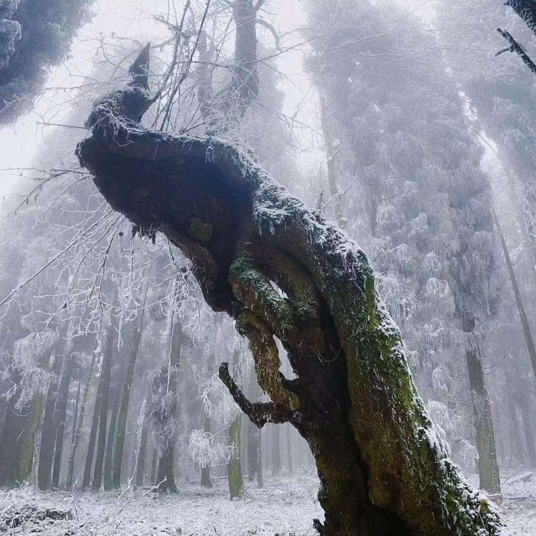 琉璃坝何家大院