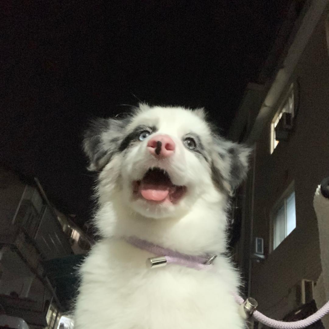 今天也要吨吨吨