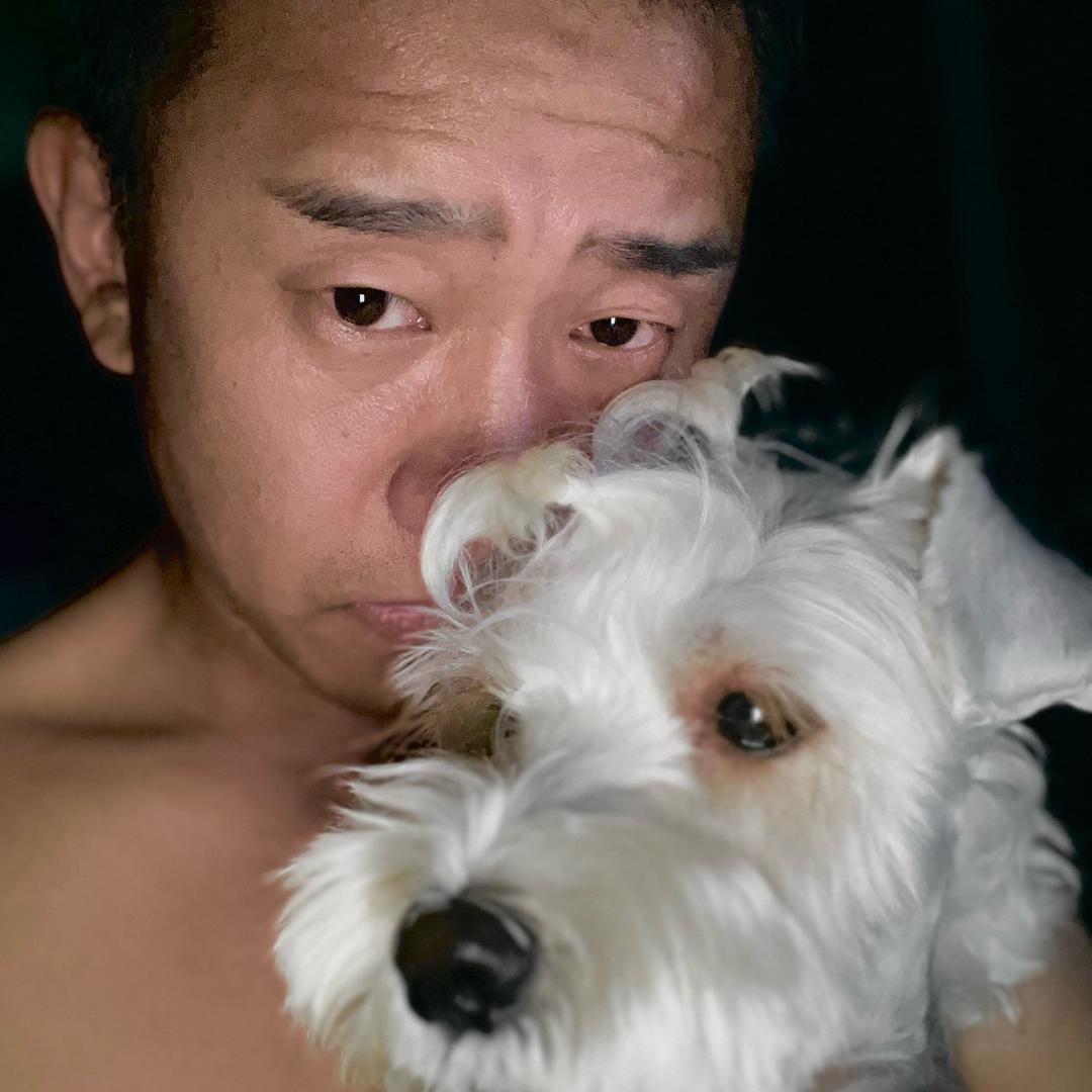 不爱讲故事（戒烟必成功）