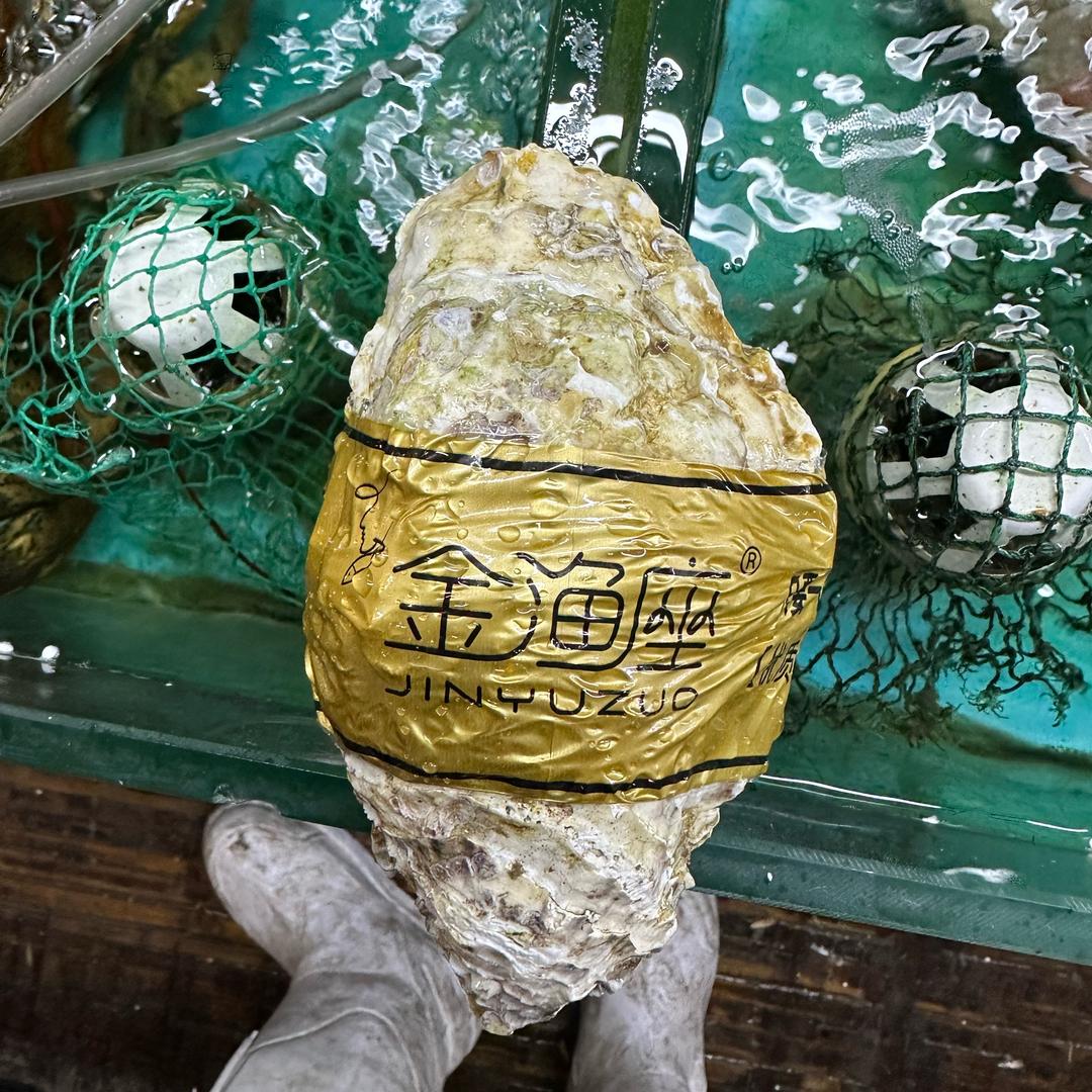 小金家的海鲜店