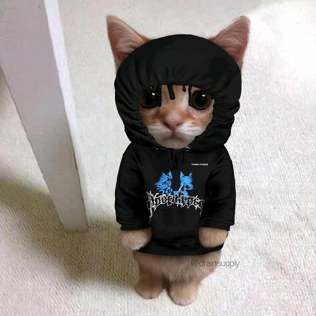 好名都让狗起了