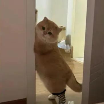 用户62444126145
