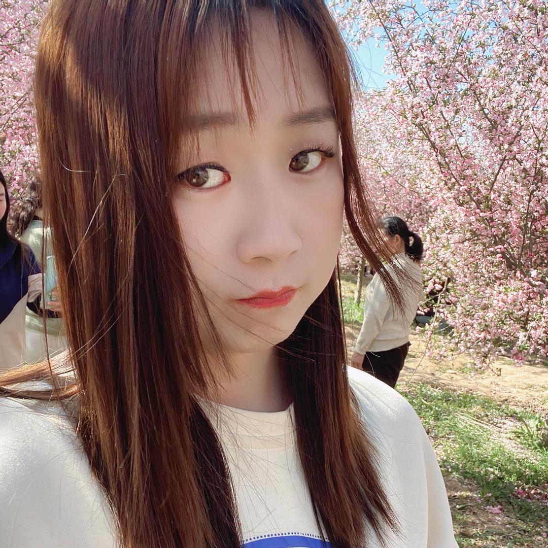 燕子