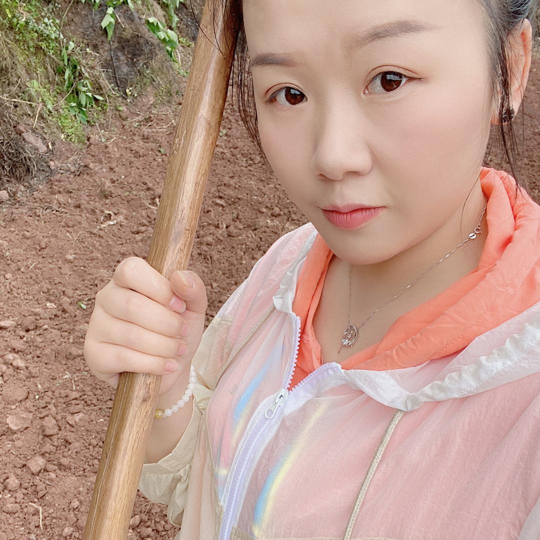 翱翔的凤凰