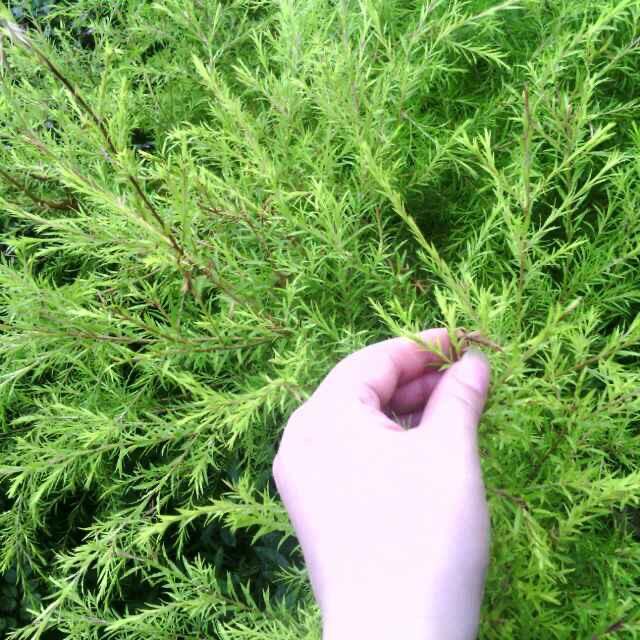 熟悉的陌生人
