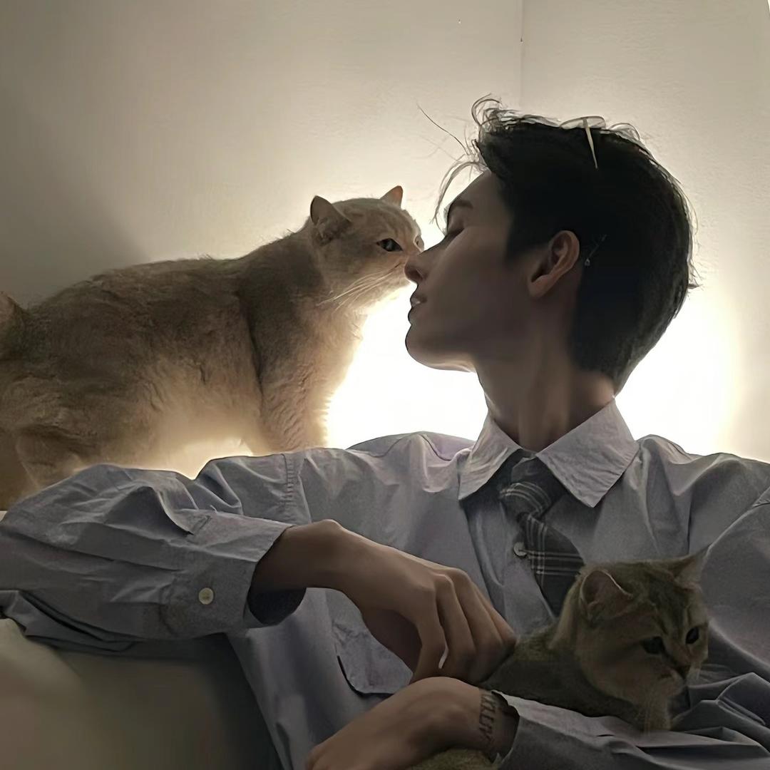 罗蜜欧与猪过夜