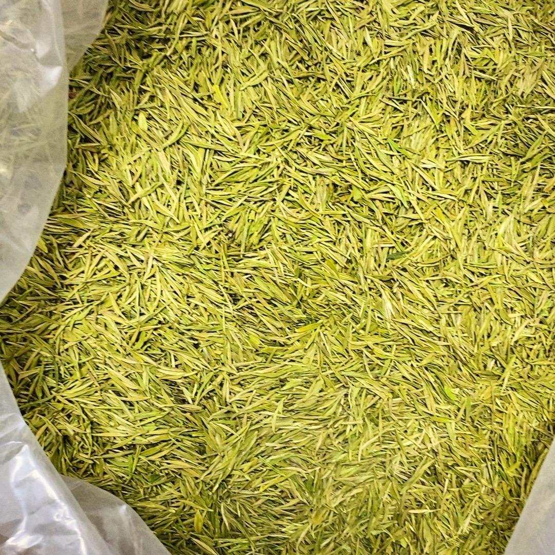 安吉新明茶场