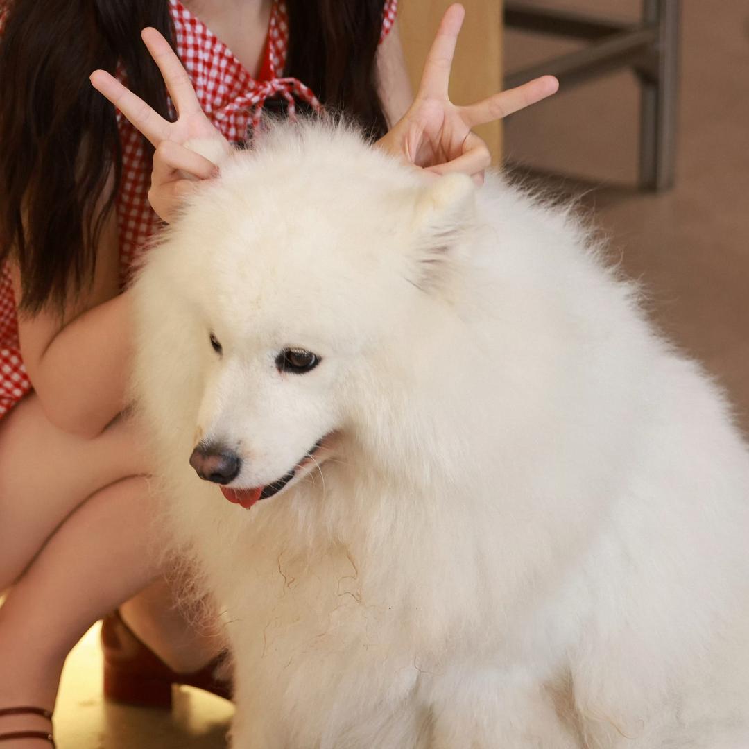 八宝粥咸鱼淡饭