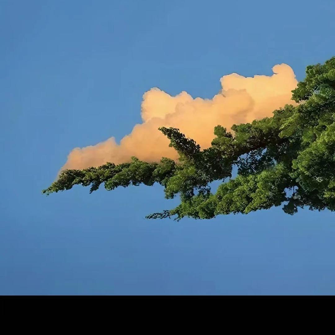 游山玩水