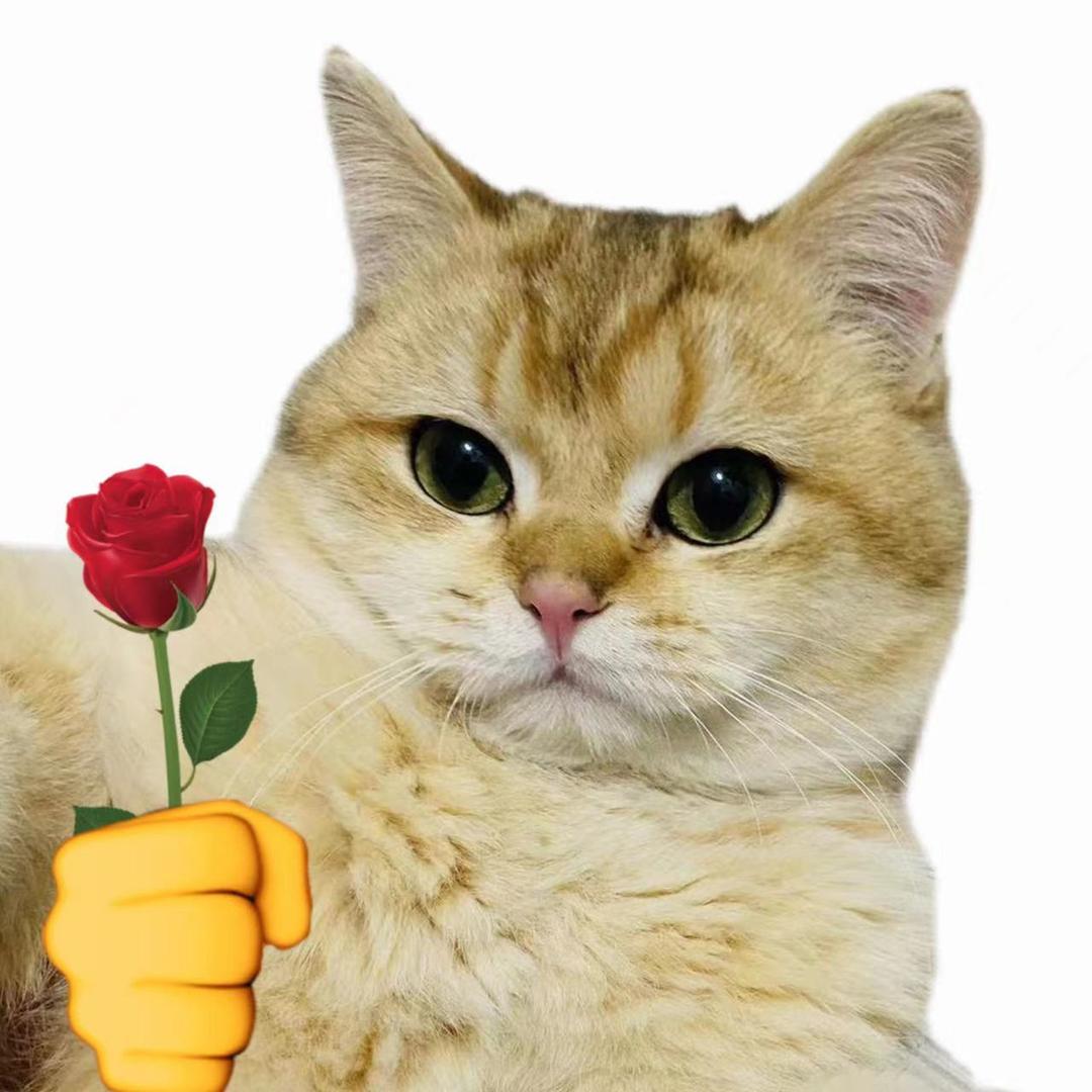 猫猫搬运工