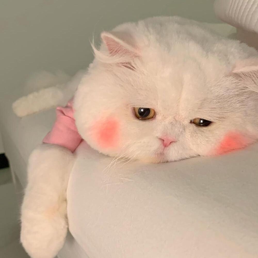 开心