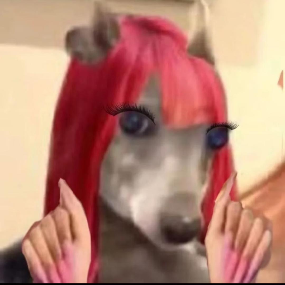 GoGo