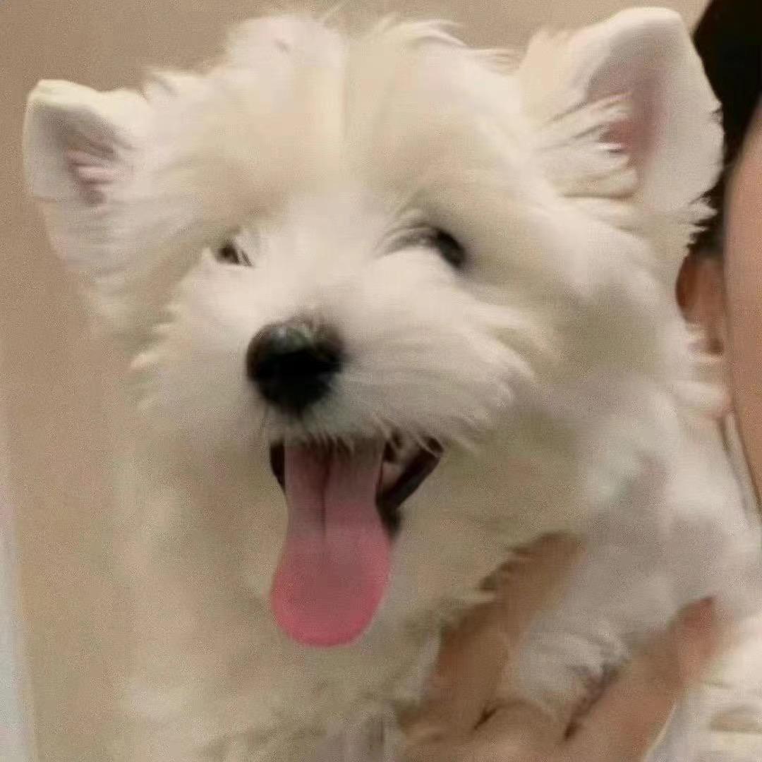 小侯很努力～