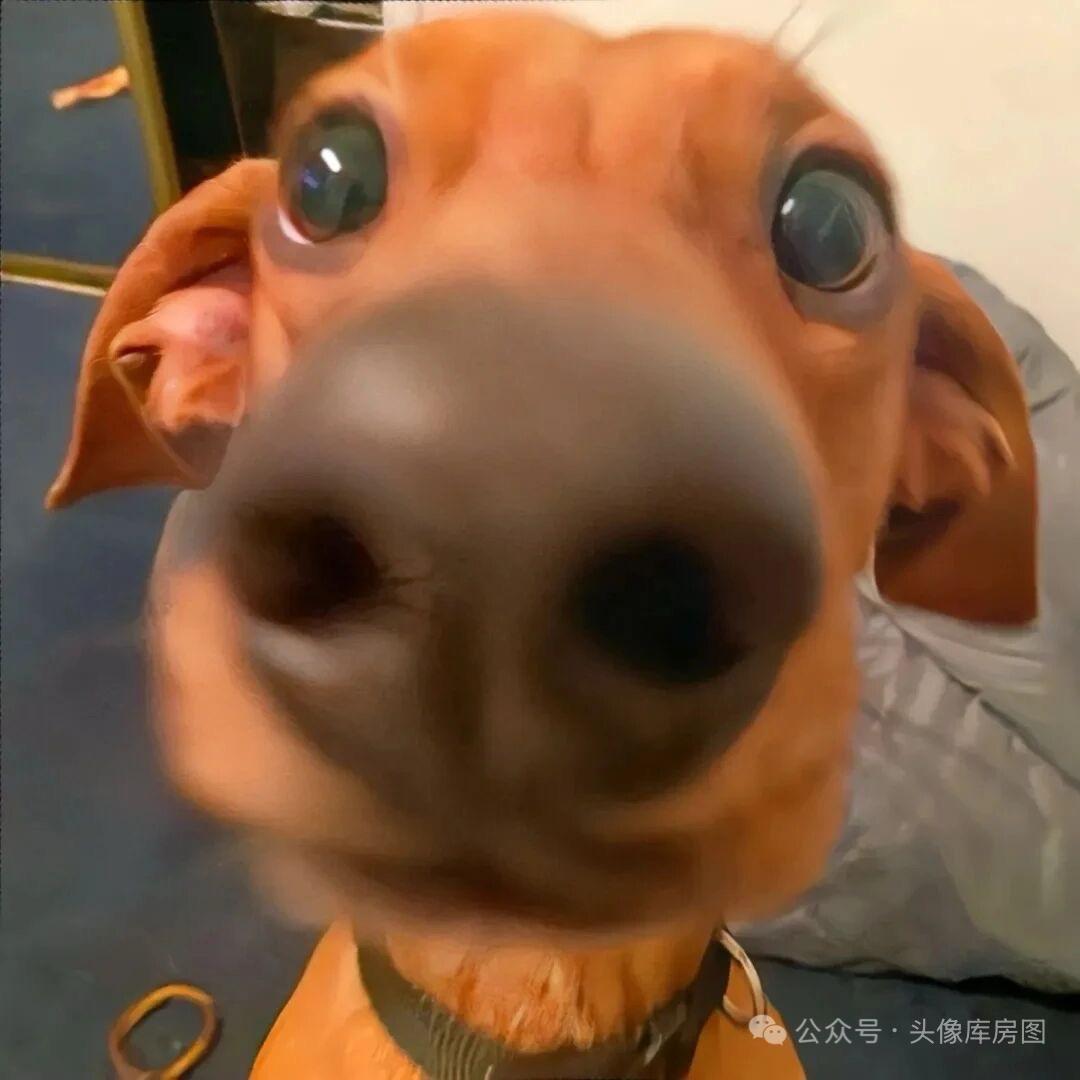 甜星星