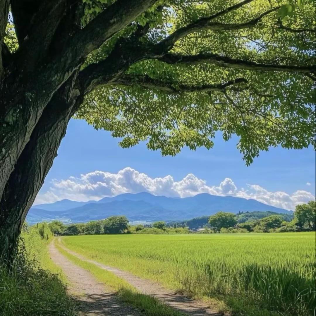 珍珍小跟班