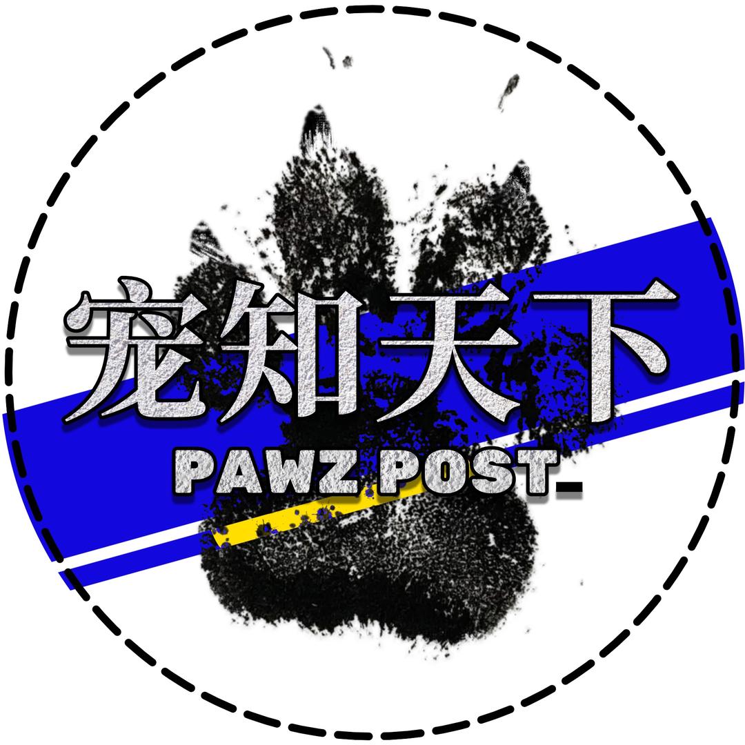 宠知天下