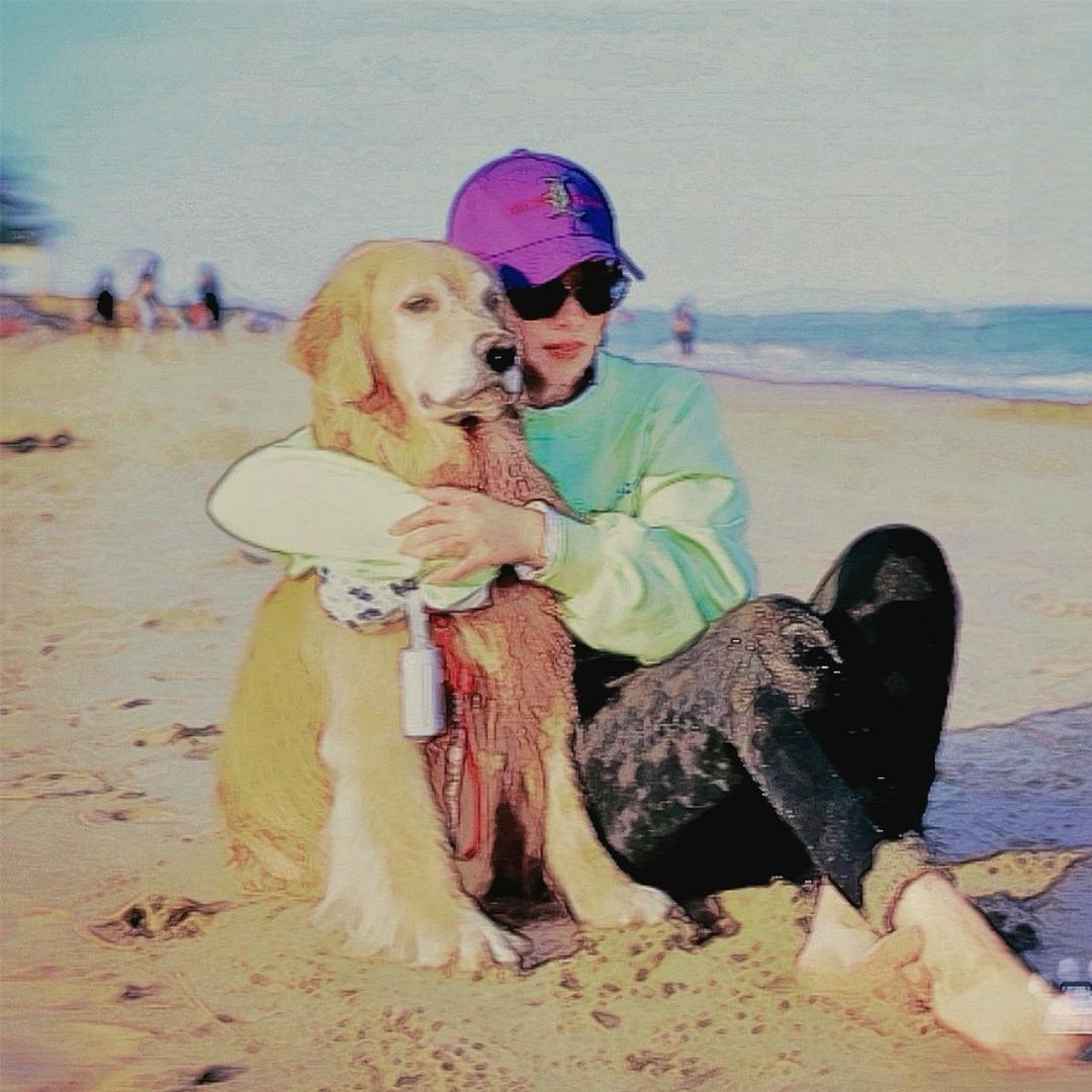 👑BOURBON陛下🦮和他的小妖姬