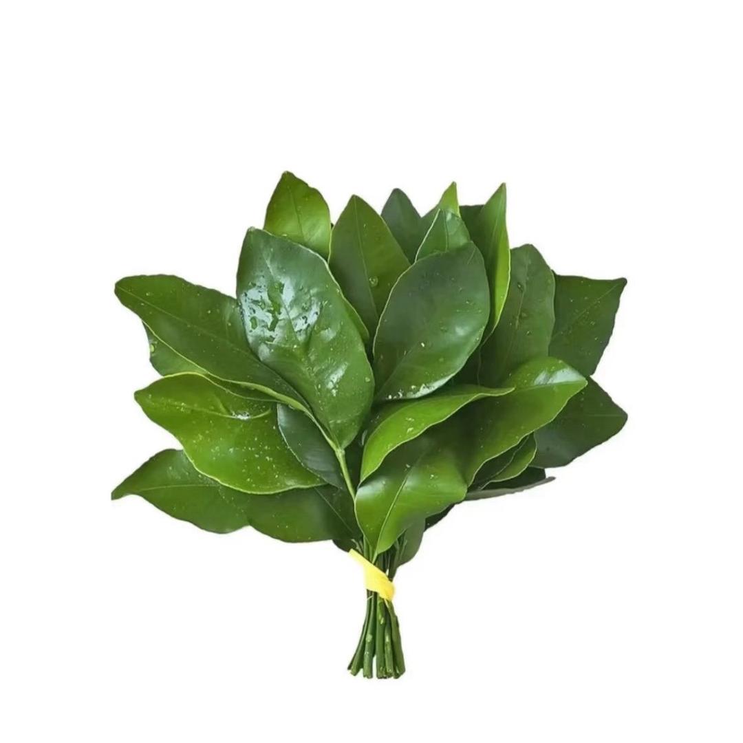 圆圆Y