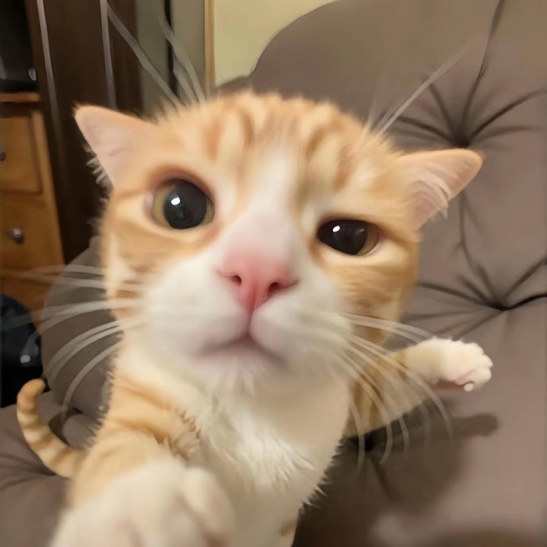 留在我身边pppp
