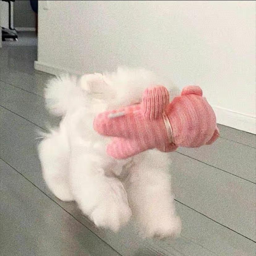 粥粥-