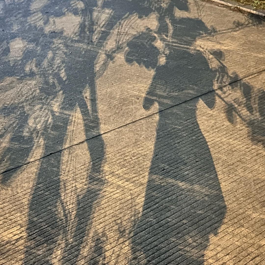 小燕子百货分享