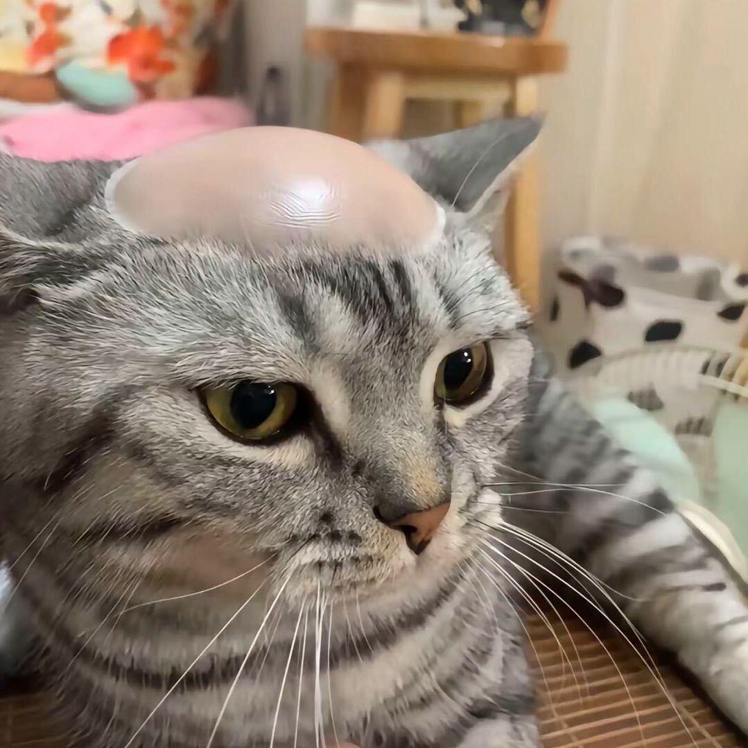 秋天原生鱼坊