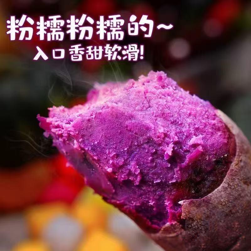 智农时代