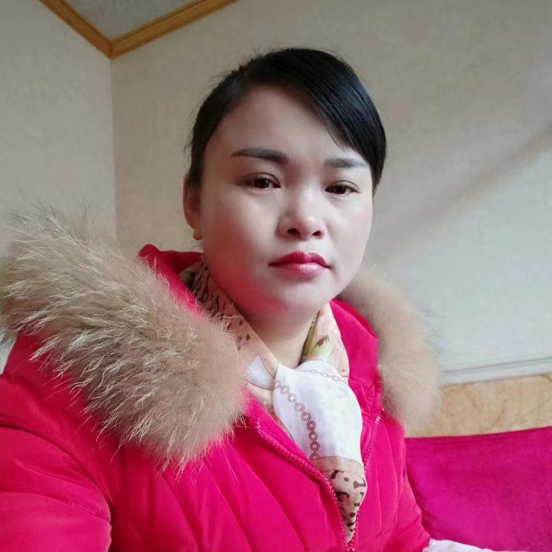 小赵琴
