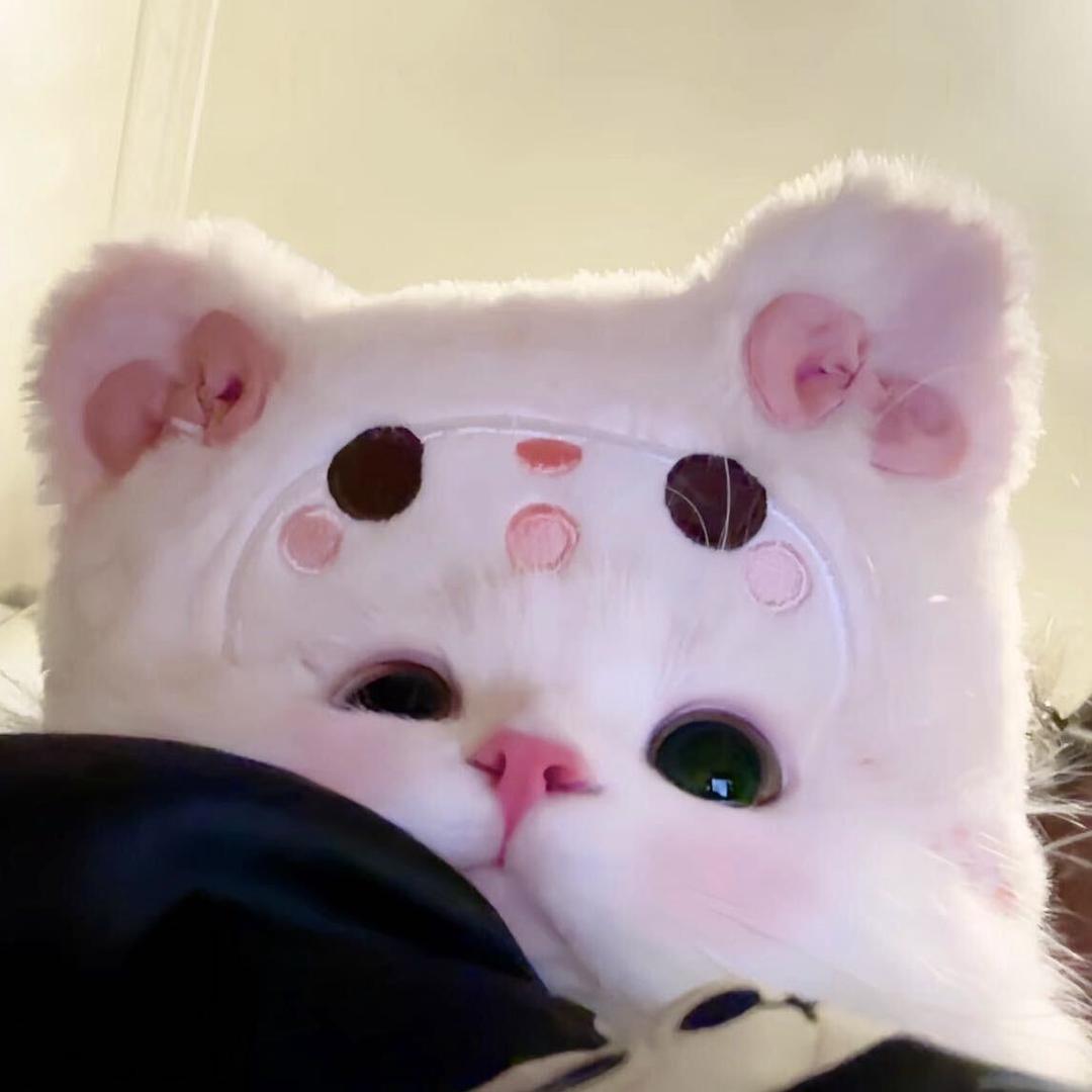 小胡要开心💗