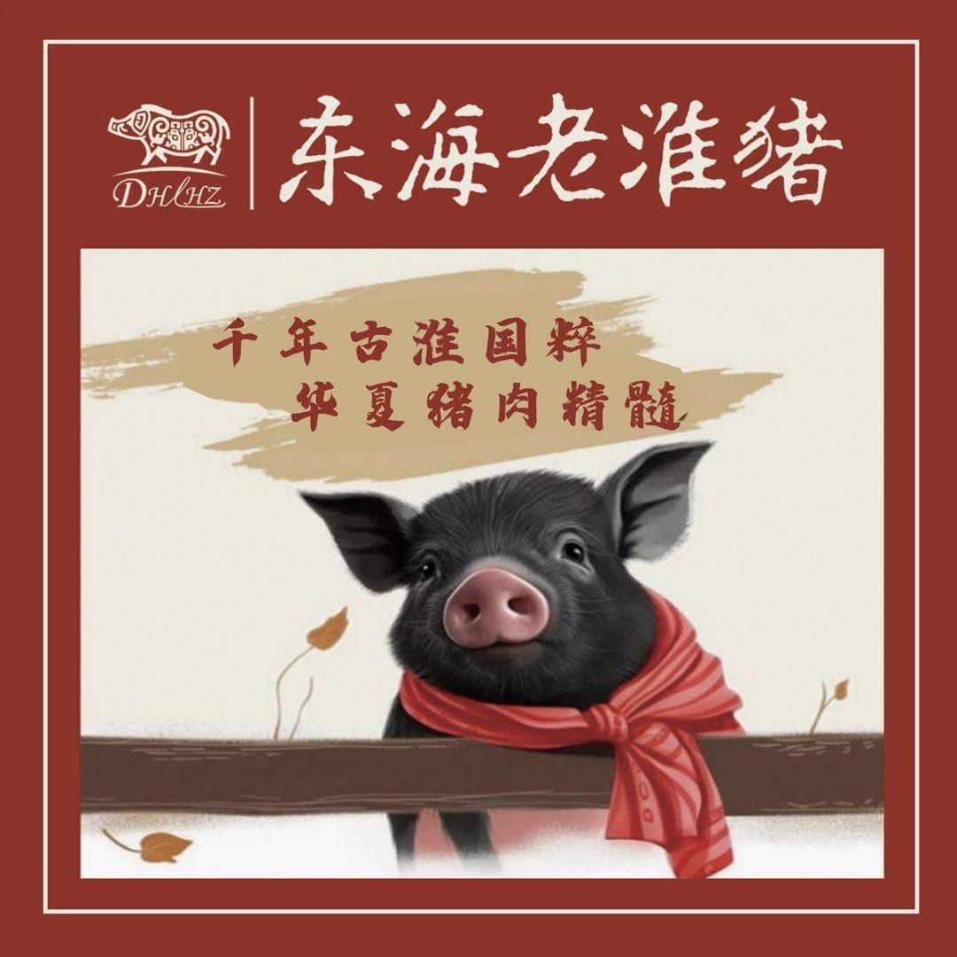东海老淮猪肉食品有限公司