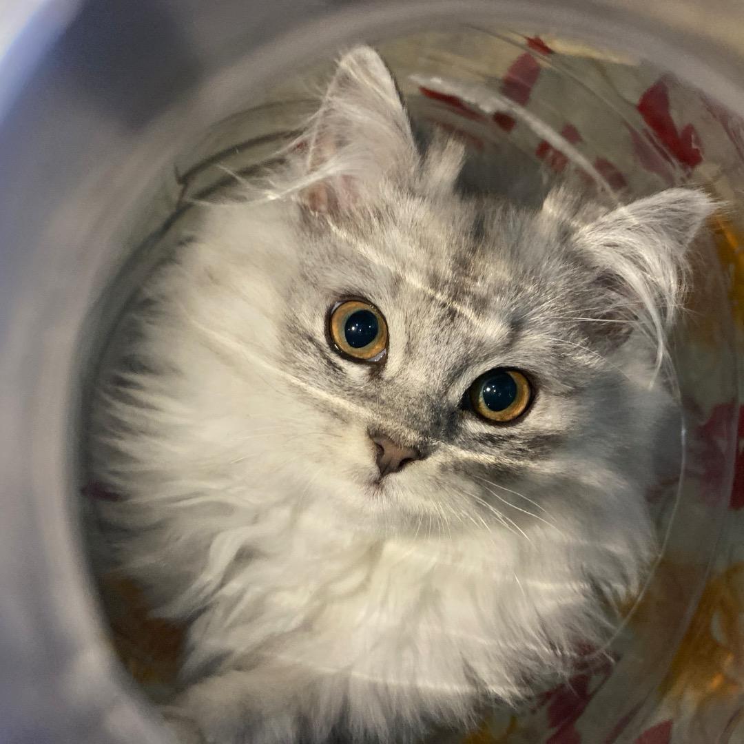 大自然的手工人(原创)