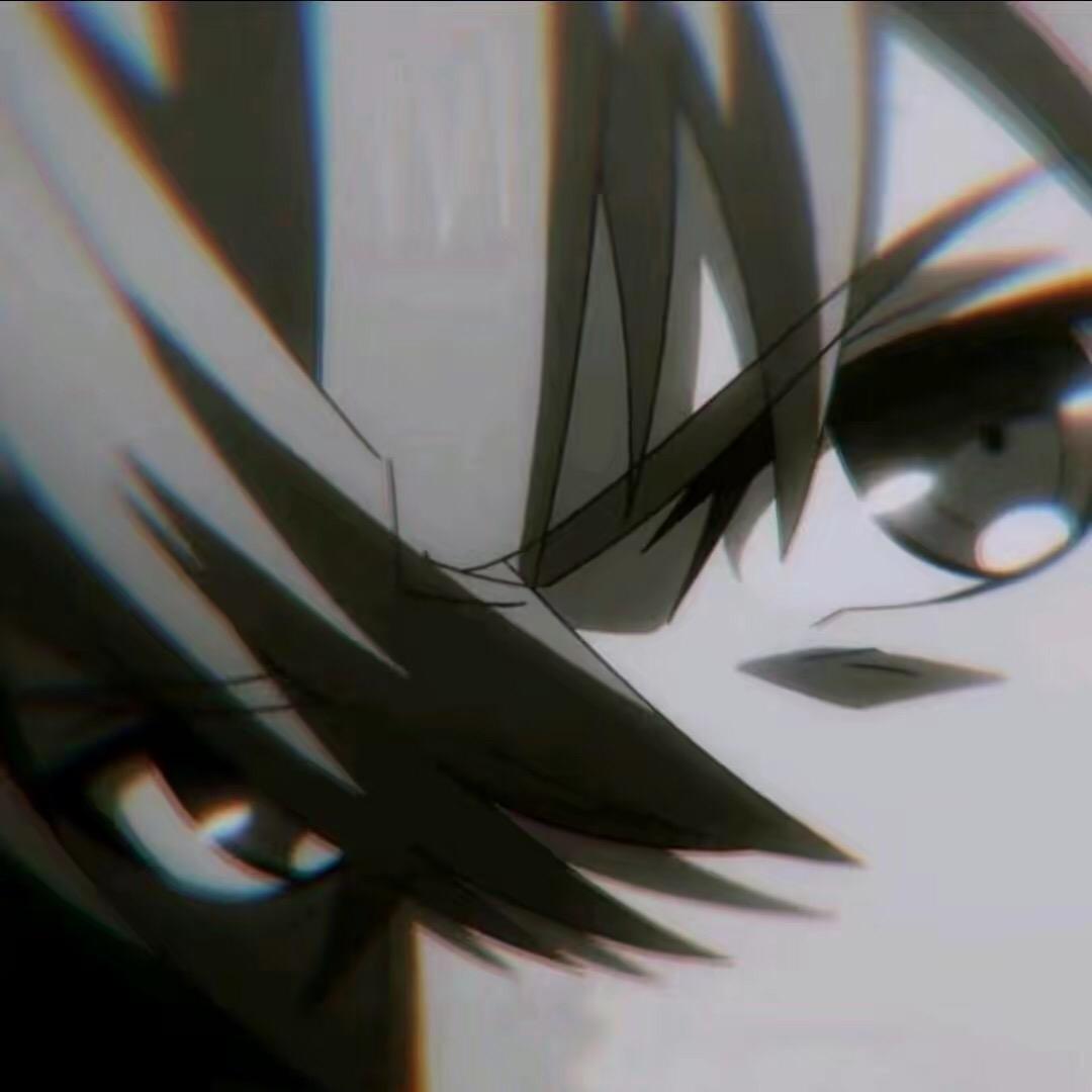 昂言