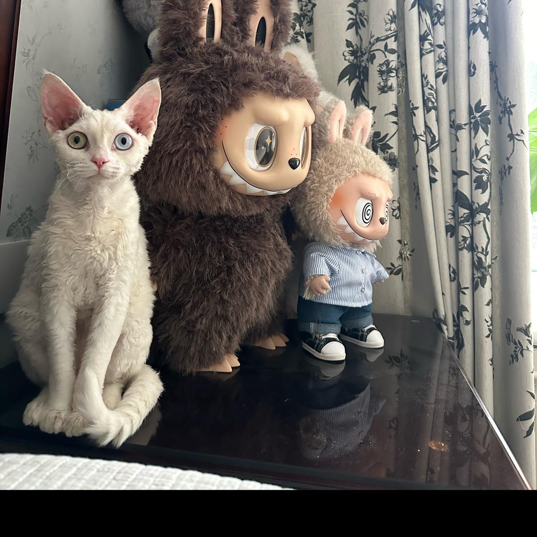 图妈的农场