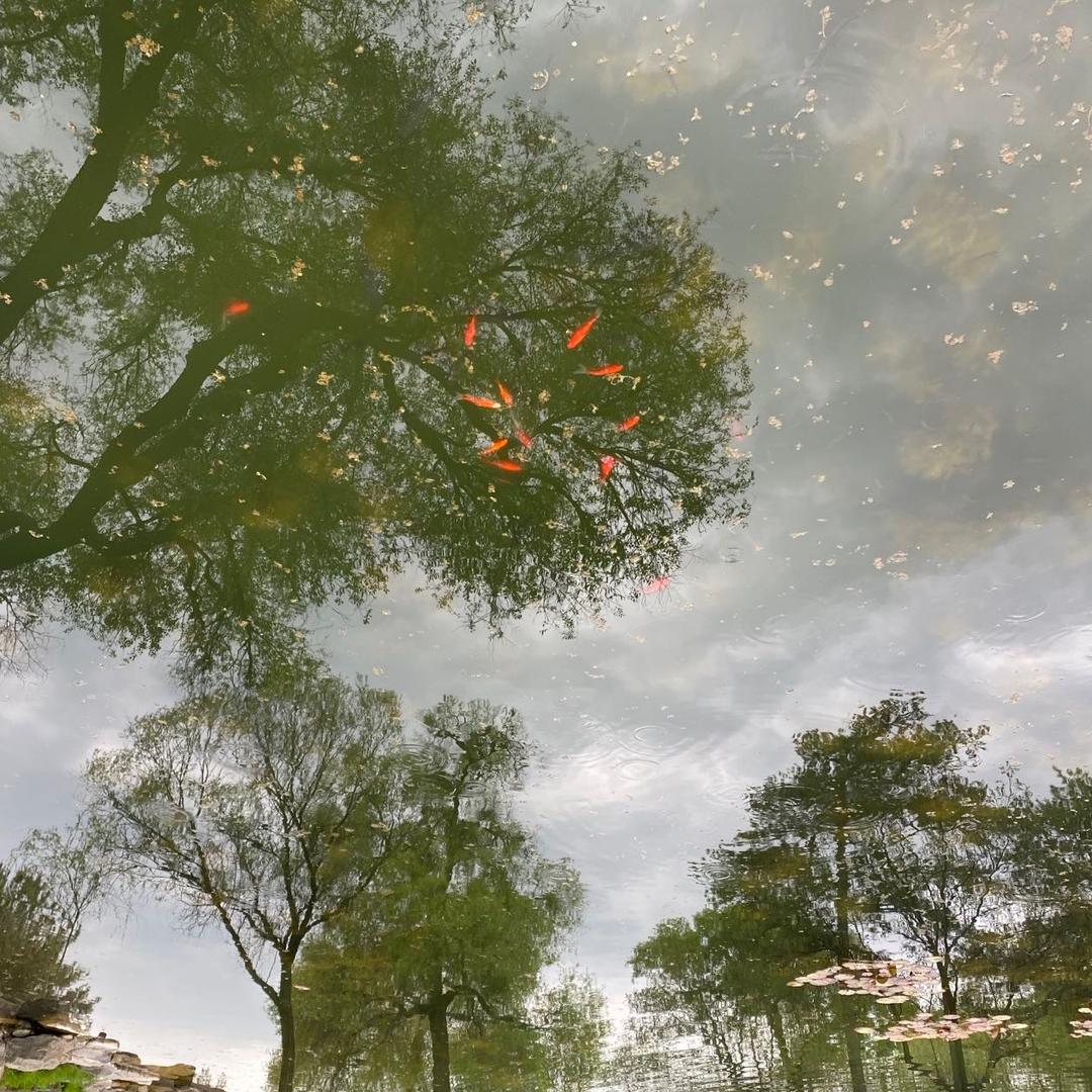 ⛽️🀄️🧧叫个啥名呢？