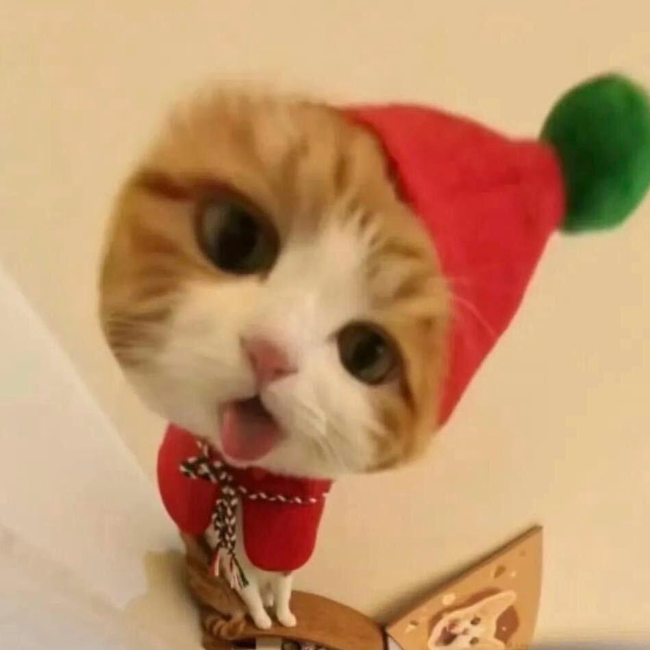 二十.