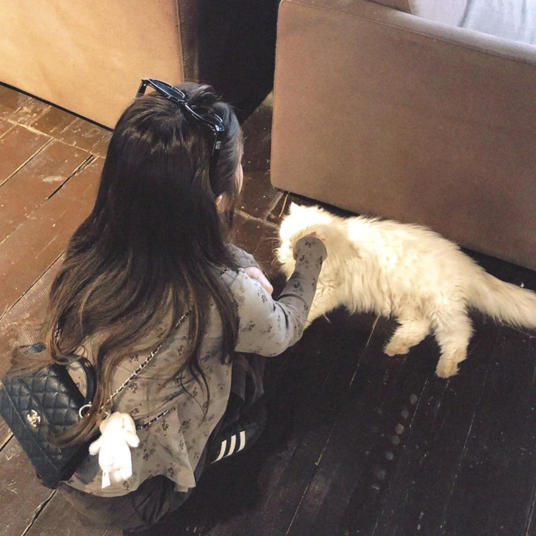 杨杨杨🐑