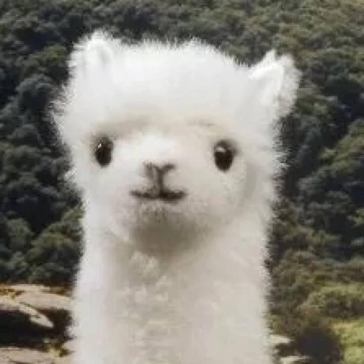 未见青山老
