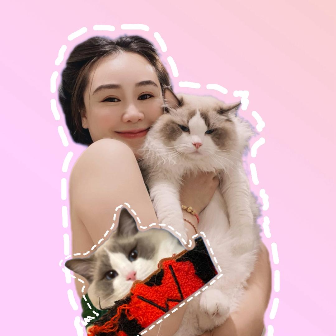 金水和猫