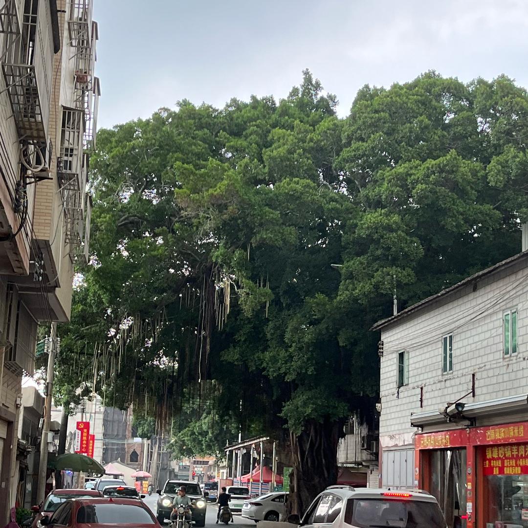 出去逛逛走这边