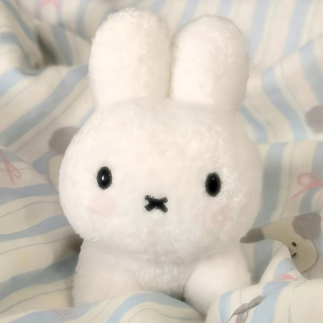 🏐不要沾手飞了