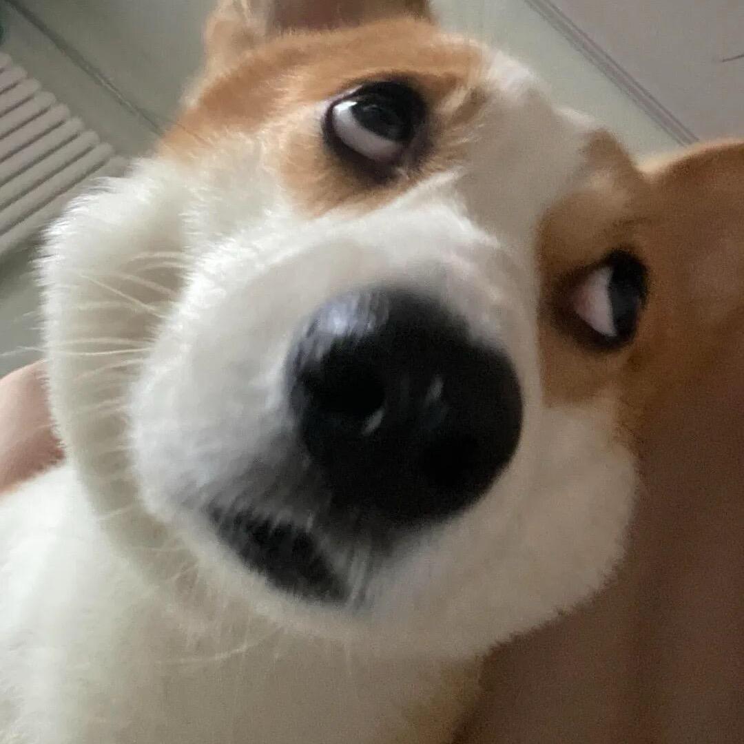 李Y