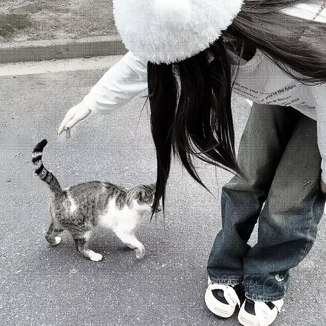 闪躲