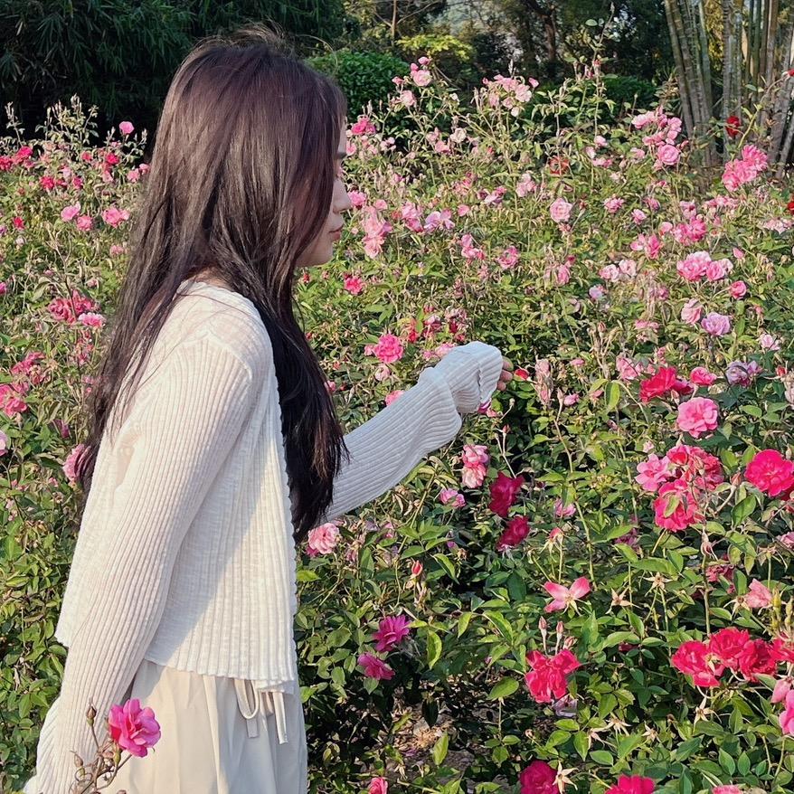 菲菲学姐🌱