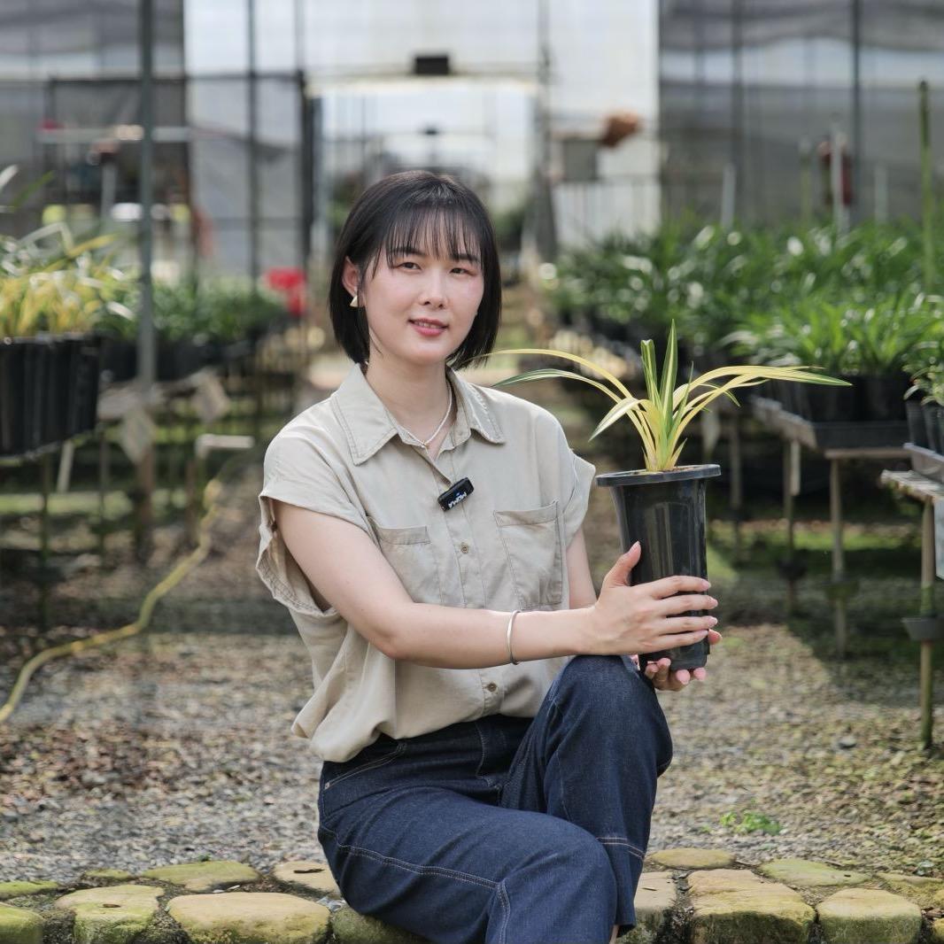 粤兰薇花坊