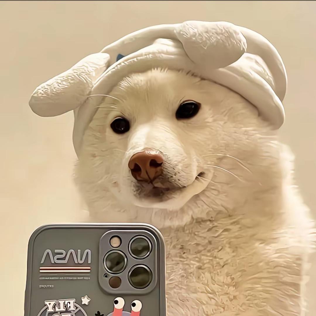 🐑哩个羊