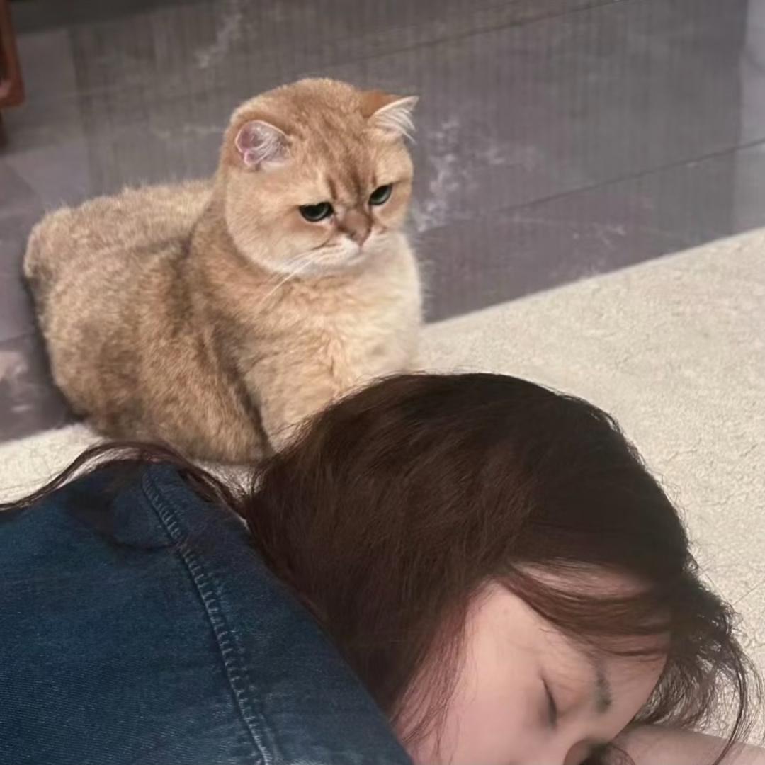 没有如意的爱情 如意是人名