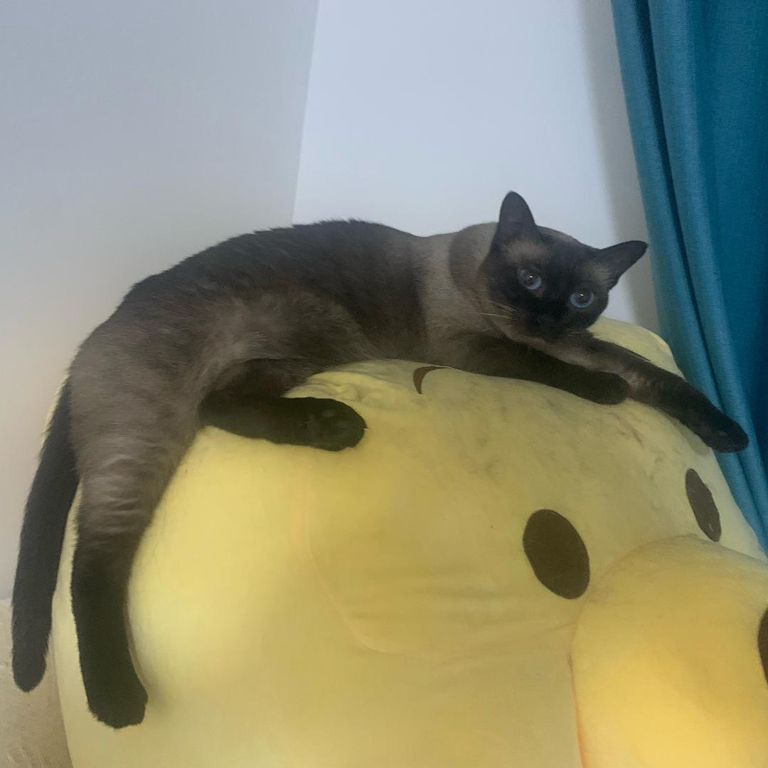彦